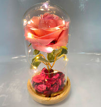 Cargar imagen en el visor de la galería, Rosa 🌹🎁 Eterna Encapsulada
